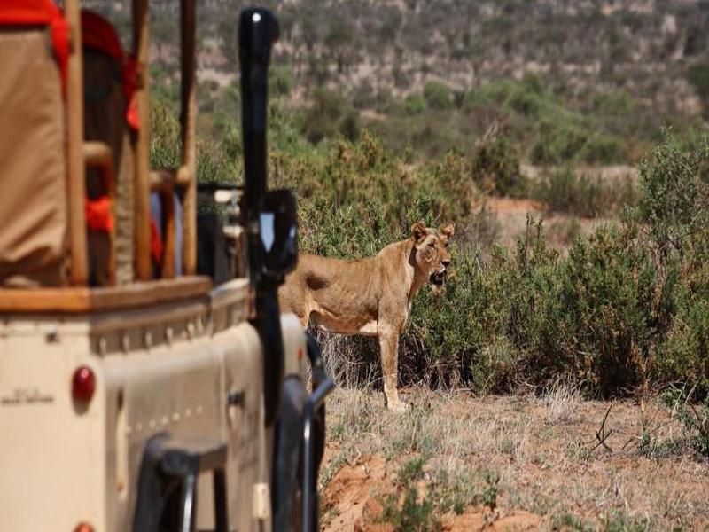Вілла Saruni Samburu Екстер'єр фото