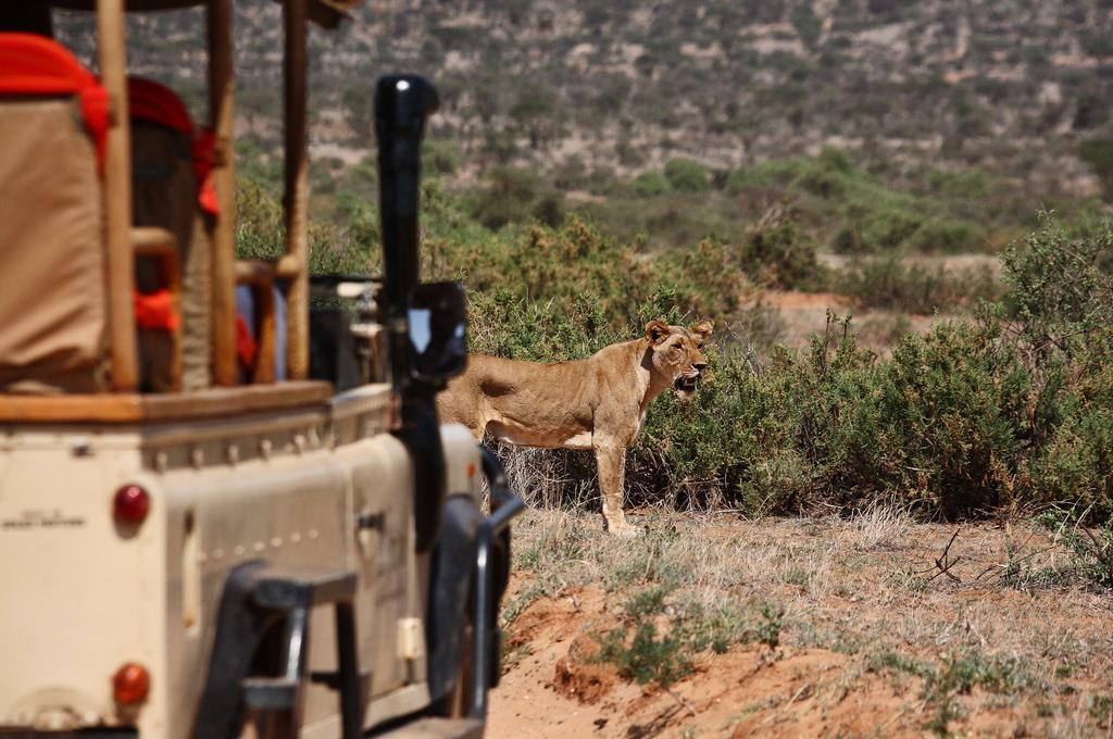 Вілла Saruni Samburu Екстер'єр фото